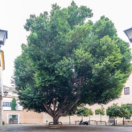 Alohamundi Escuelas Pias セビリア エクステリア 写真