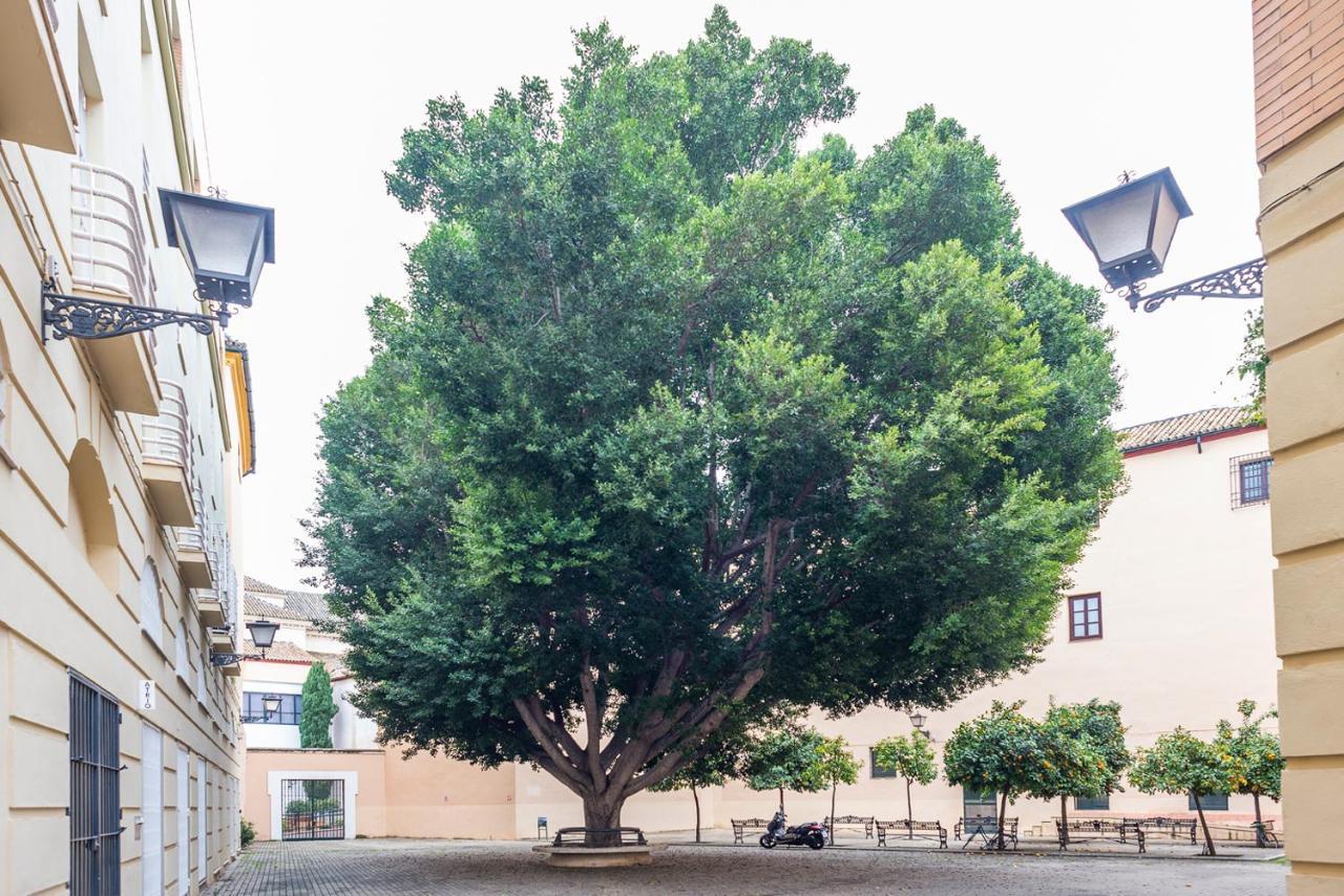 Alohamundi Escuelas Pias セビリア エクステリア 写真